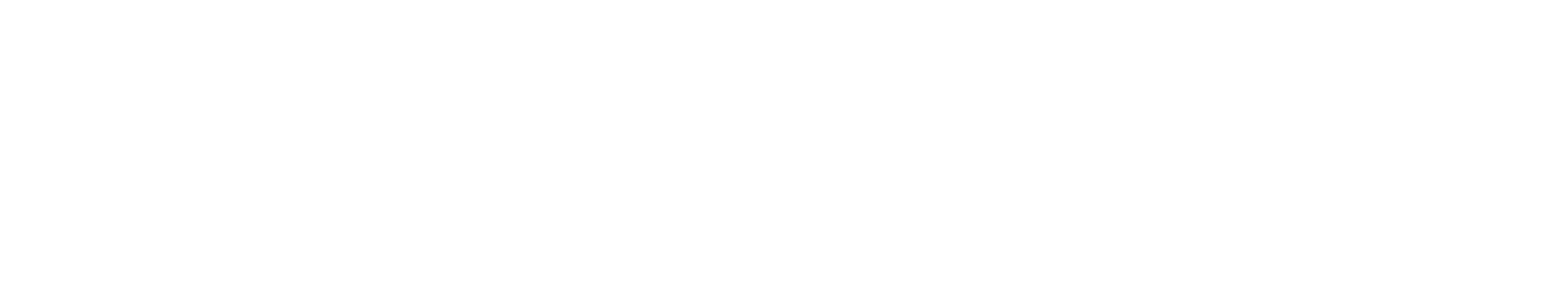Practicum footer logo